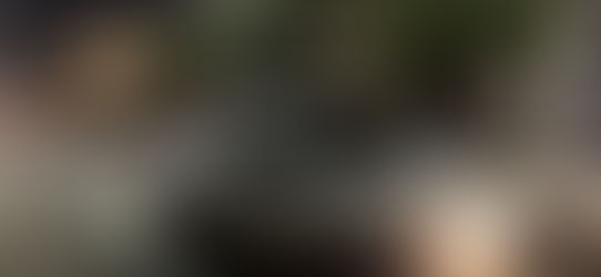 MUNICIPIO DE AGS- OPERATIVO DE LIMPIEZA AL CONCLUIR LA ROMERÍA DE LA ASUNCIÓN