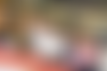 Eventos de la FNSM 2024