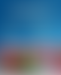 CULTURA AGS - Talleres y cursos matutinos, vespertinos y sabatinos