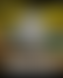 GOBIERNO DE AGS - "Gran Premio Aguascalientes” de la NASCAR México Series