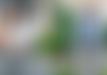 CONGRESO - BUSCA NANCY GUTIÉRREZ QUE SE CASTIGUE A PADRES QUE NO CUMPLAN CON RÉGIMEN DE VISITAS Y CO