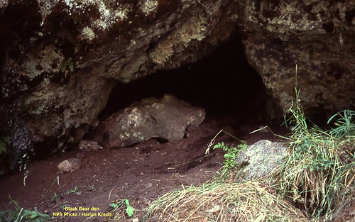 GB den, cave.JPG