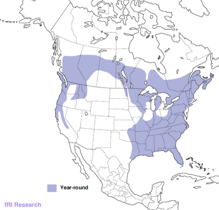 Pileated Woodpecker Range.JPG