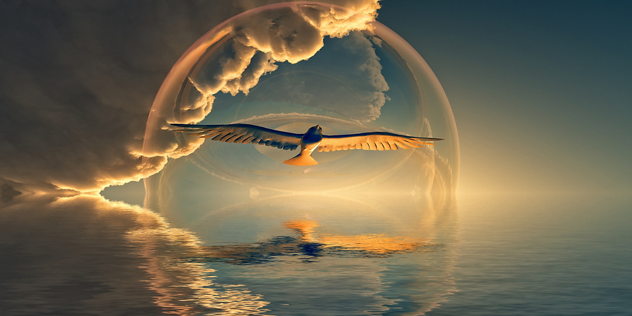 TRANSFORMATIONAL JOURNEYS.png