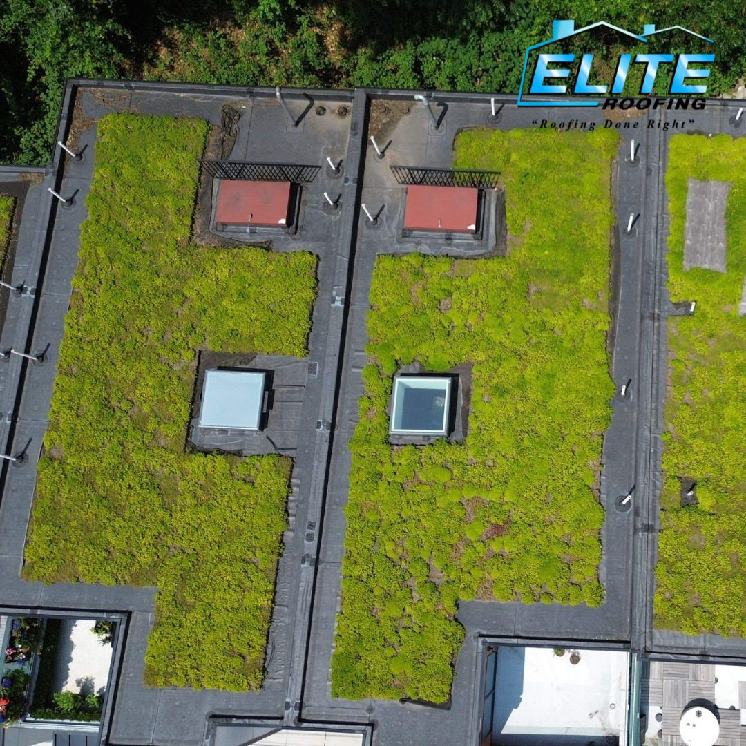 A Green Roof in Jersey City, NJ