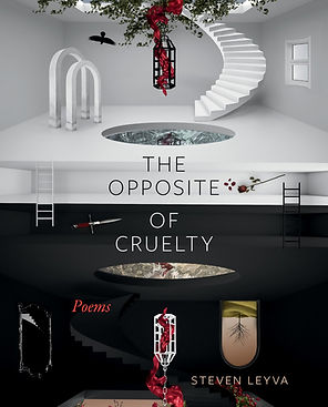 The Opposite of Cruelty (Cover).jpg