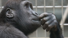 Life Review: Definitely NOT for old folks only!