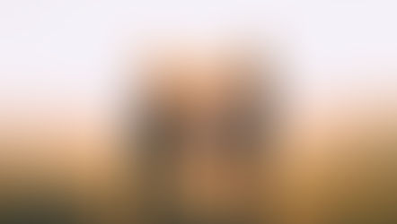 אתגר החברות בזמני קורונה