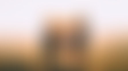 אתגר החברות בזמני קורונה