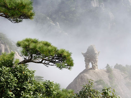 In Search of the Wisdom of Aging