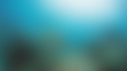 Goda nyheter: För första gången finns en juridisk ram för att skapa marina skyddade områden på det öppna havet