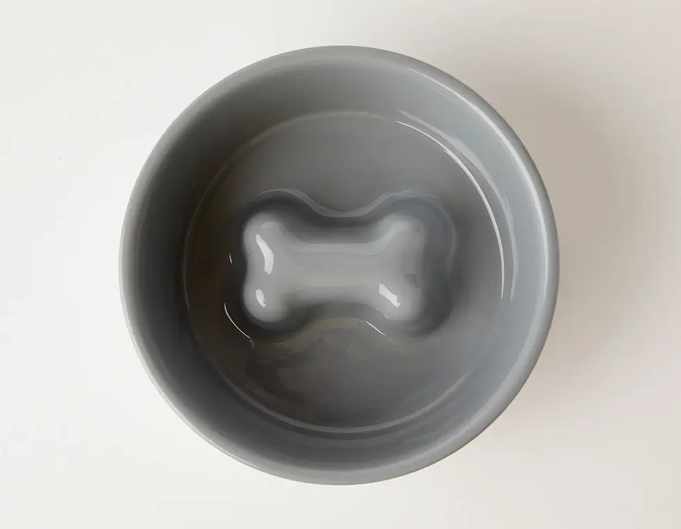 Thumbnail: Jax And Bones Slow Feeder Dog Bowl (2 Sizes / 4 Colours)