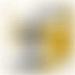 WFO Celebra Centenário: Um Século na Fundição Global