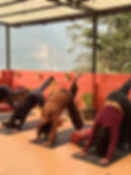 Yoga at Bunkstay (12).jpeg