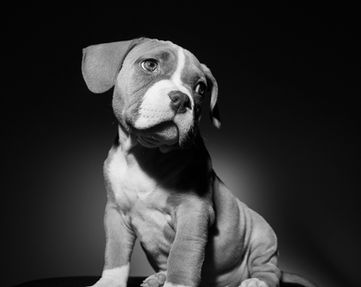 Luis nb 20220818_81.jpg