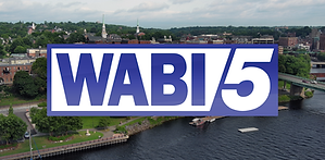 WABI 2.png