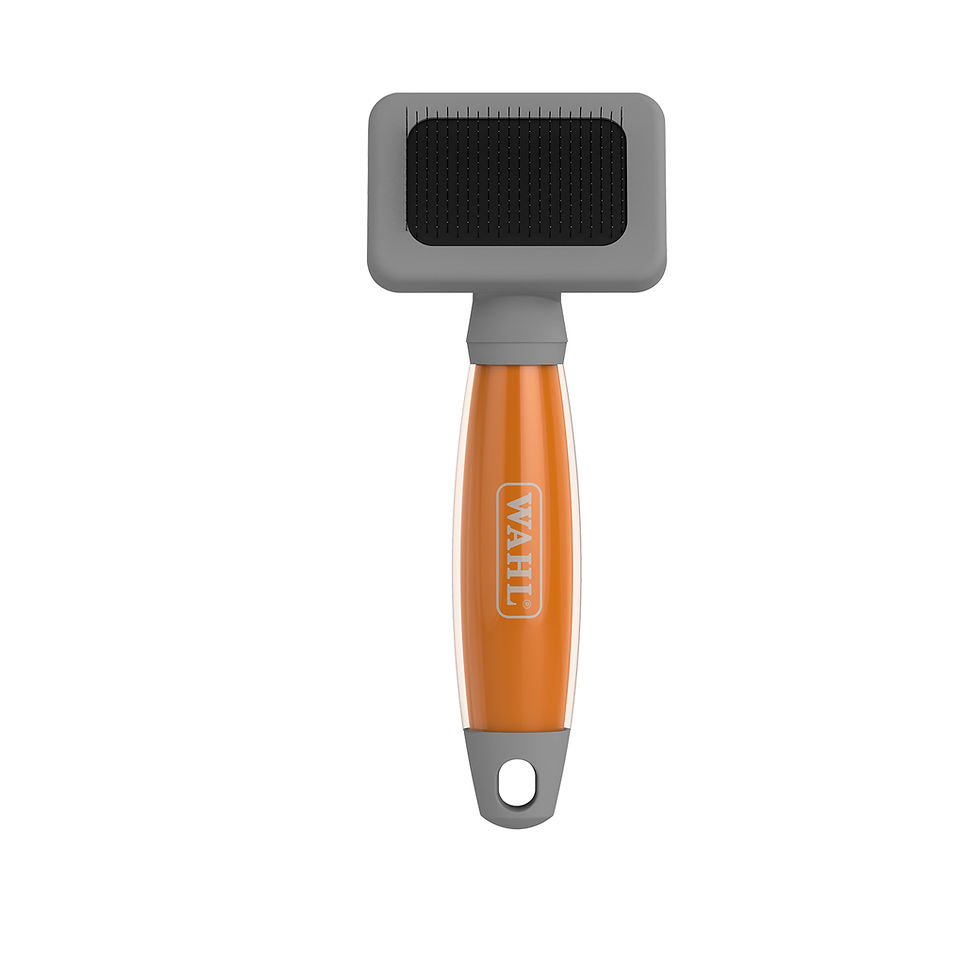 Wahl Small Slicker Brush