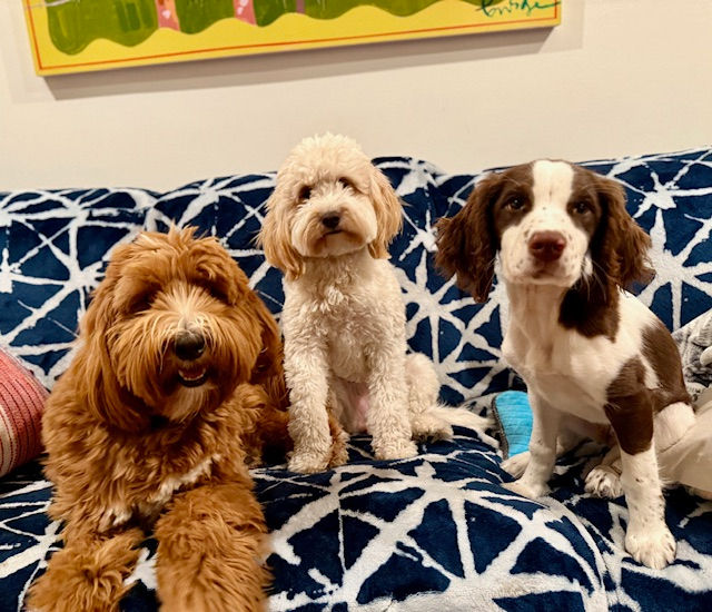 Oddie, Bennie, Tully