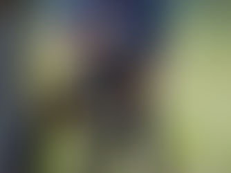 Member Spotlight: June 2024