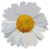 high quality flower