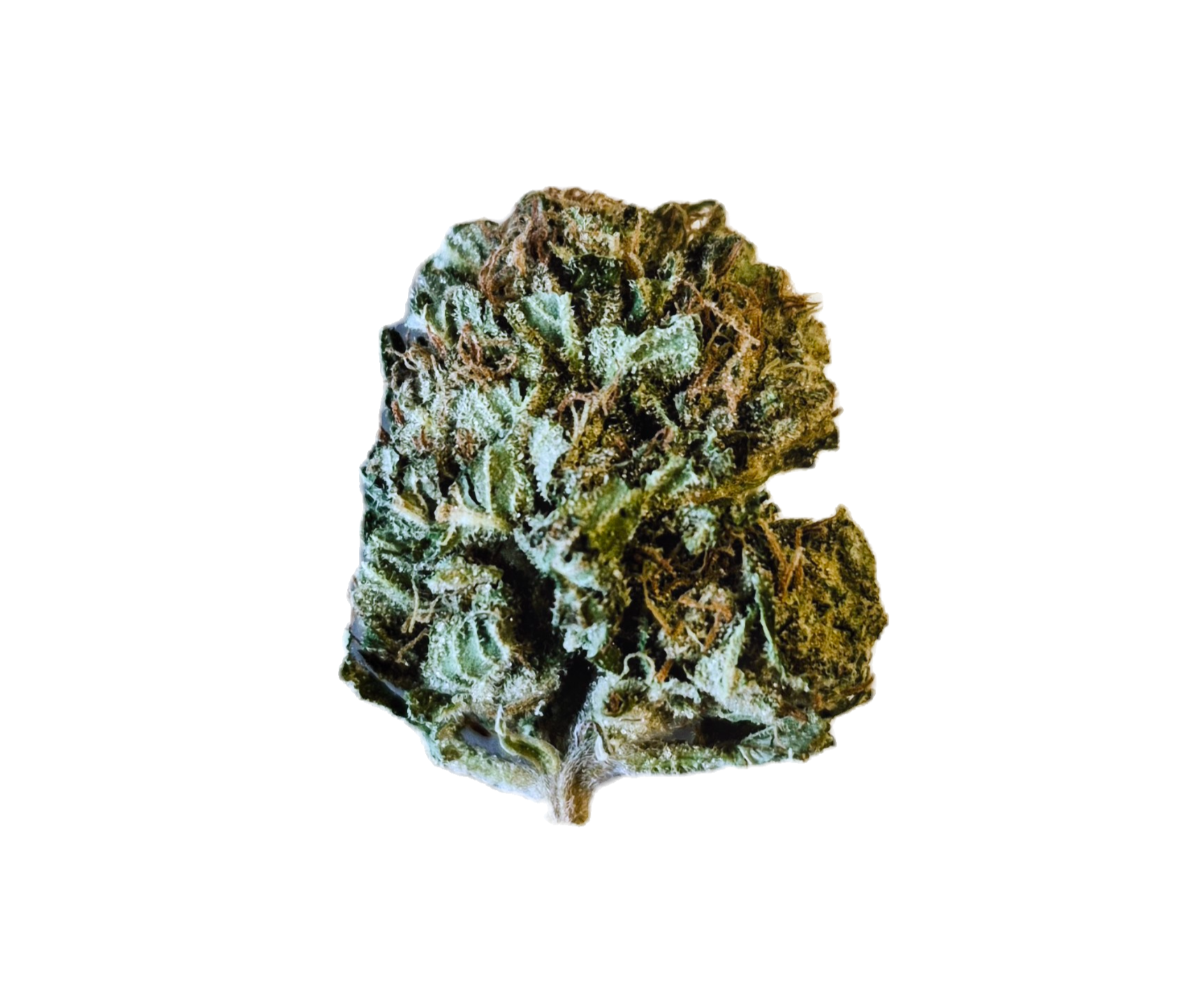 New York City Diesel