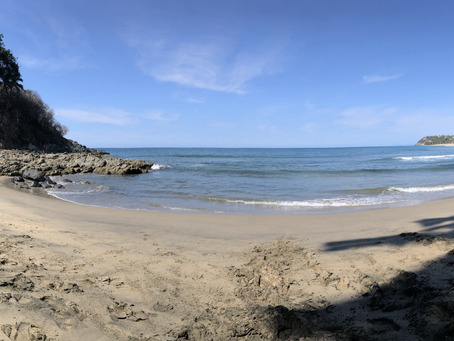 SAN PANCHO (San Francisco)