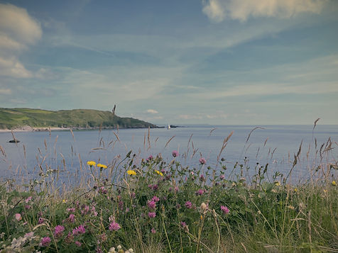 Looking across wild flowers and the sea near Coverack in Cornwall