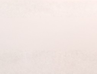 Wix Background 2.png