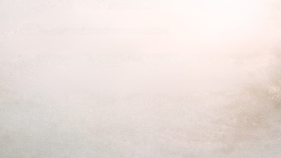 Website Full Background.png
