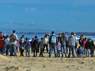 Salinas youths restore Monterey’s coastal dunes