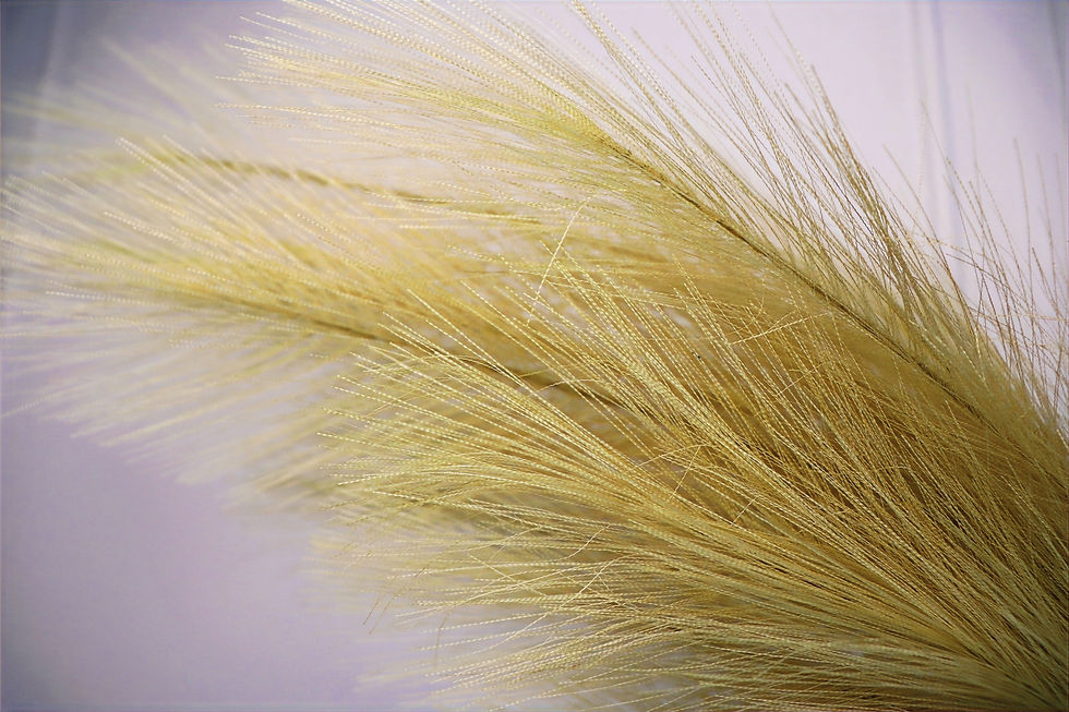 Thumbnail: Large Set Of 2 Gold Luxury Pampas