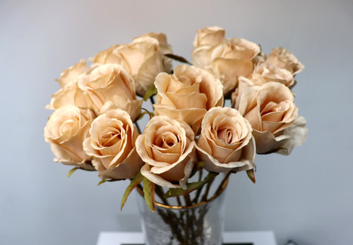 Romance Nude Rosebud - 4 Stems | Tones And Textures