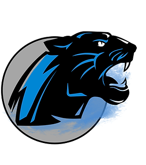 Copy of Panther 4 PALsite.png