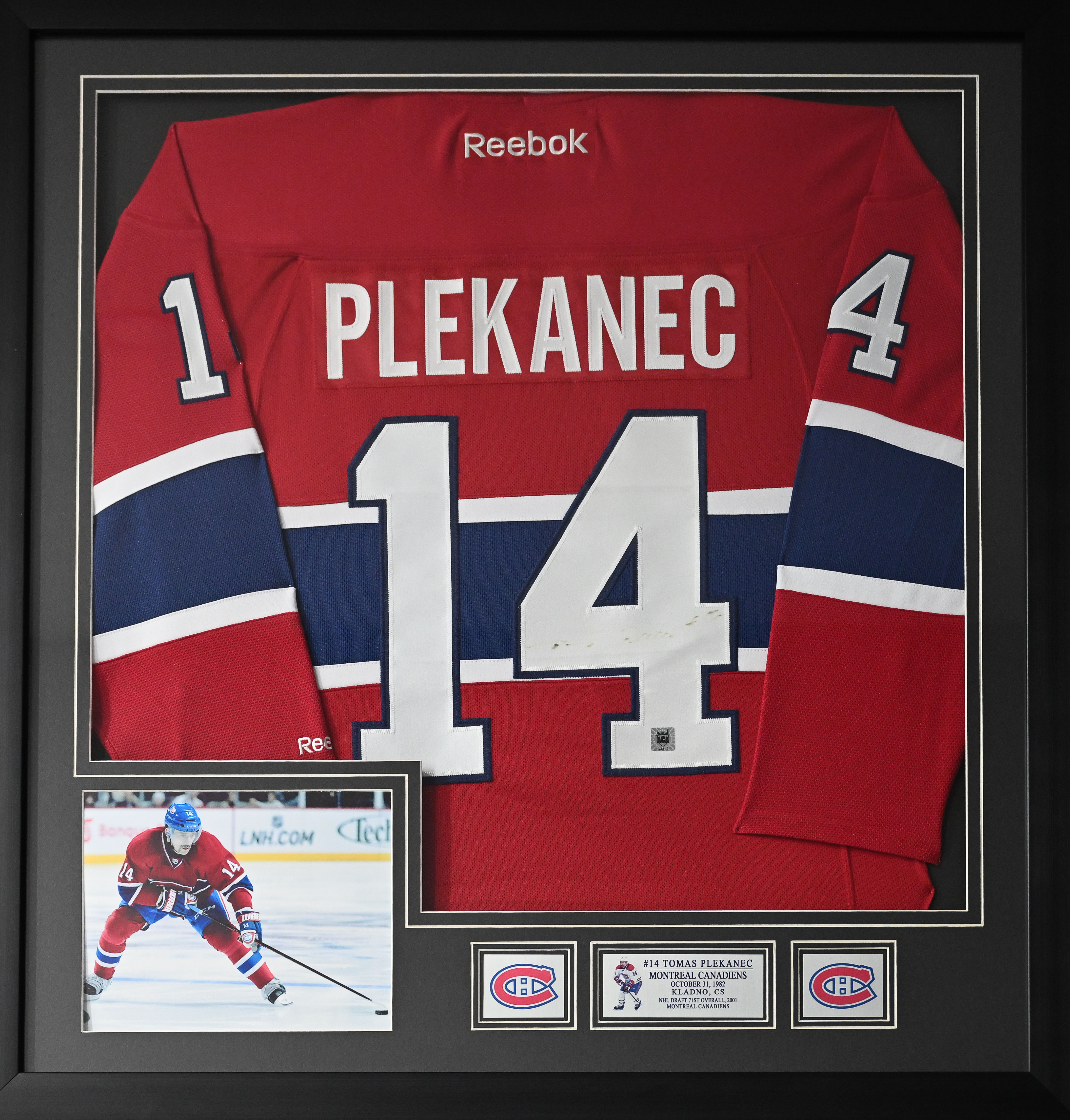 TOMAS PLEKANEC