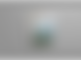 Town of Keene Brochure & Recreation Map