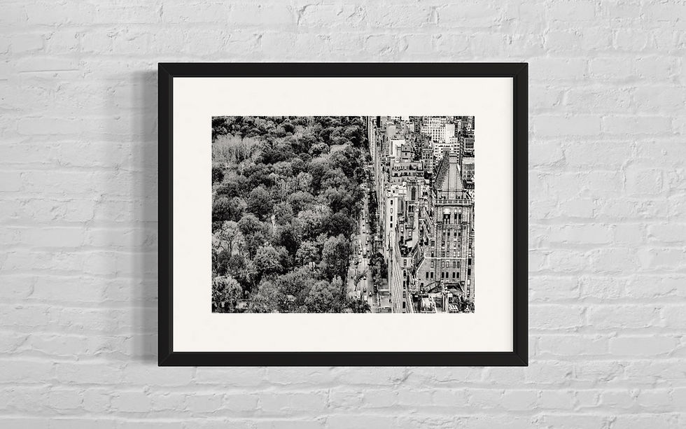 Schwarzweiß-Foto: NYC-Straßenansicht mit Bäumen