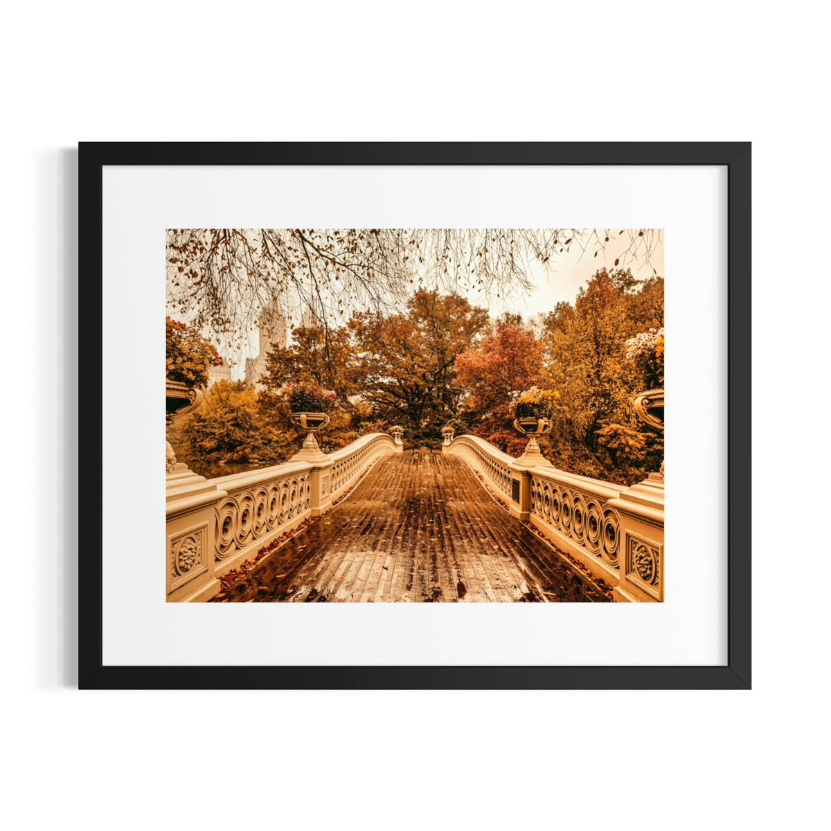 The Bridge Central Park II