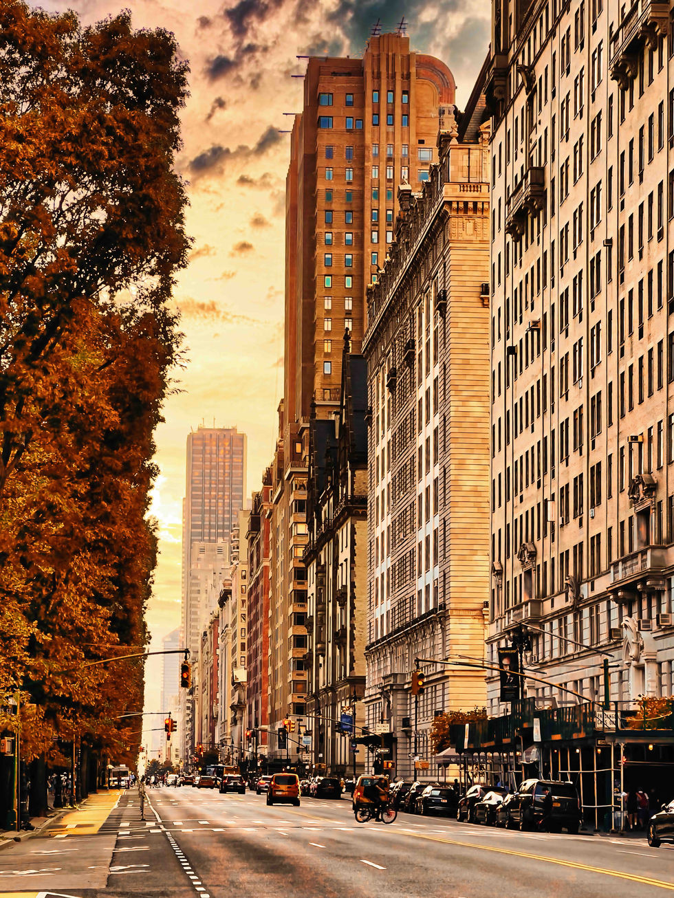 Central Park Fall Street View