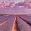 Miniaturbild: Lavender Fields IV - Frankreich