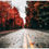 Miniaturbild: Fall in New York IV - Series of 3