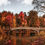 Miniaturbild: Central Park Fall I: Bunter Herbst im Central Park mit Teich und Skyline im Hintergrund