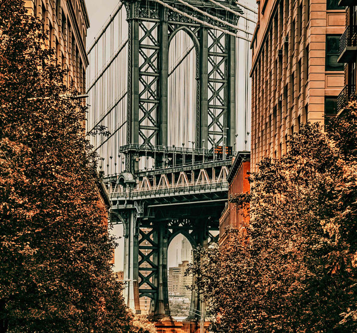 Manhattan Bridge zwischen Herbstbäumen in New York
