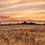 Miniaturbild: Cornfield Sunsets - Frankreich