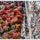 Miniaturbild: Fall in New York IV - Series of 3