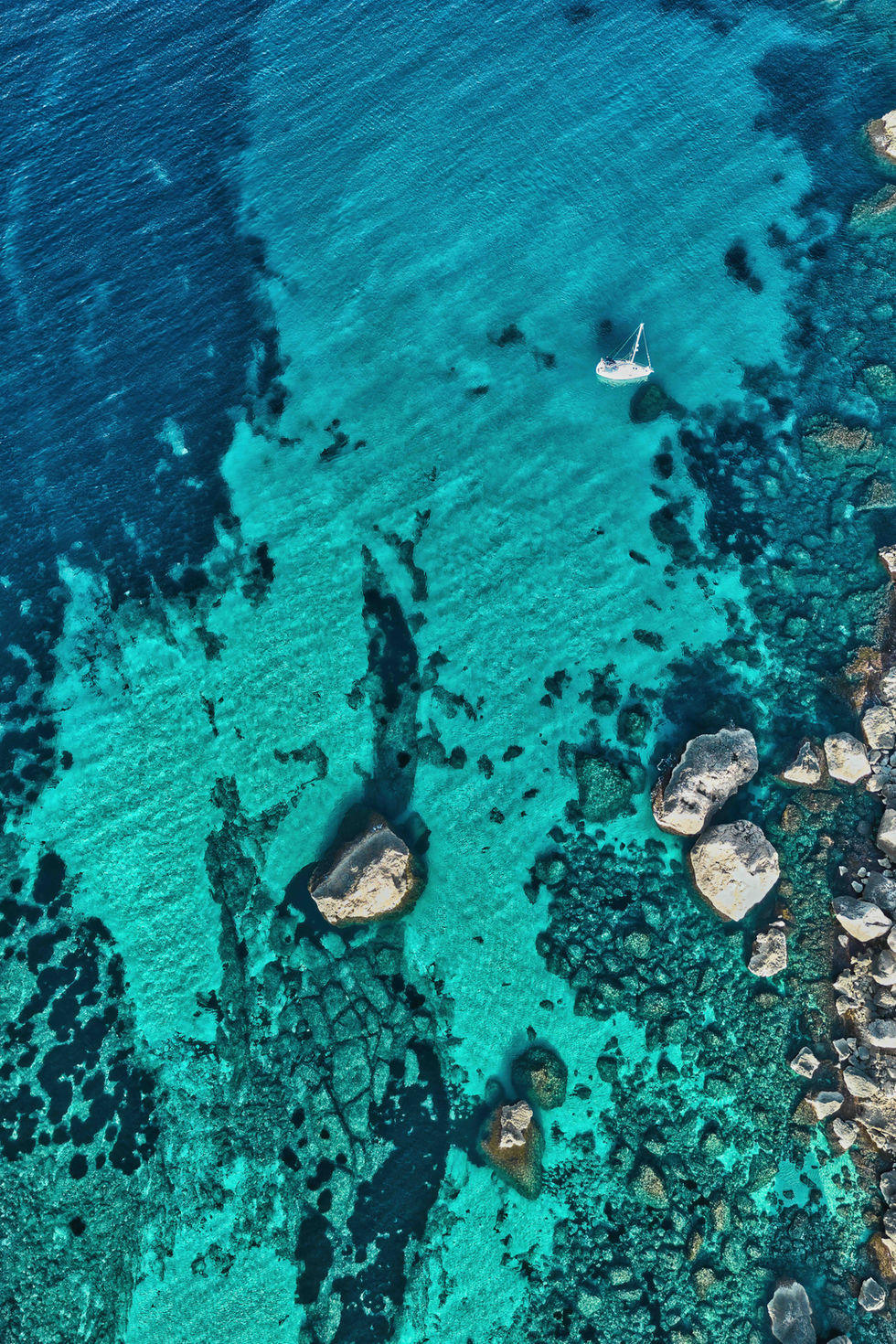 Shore of Silence