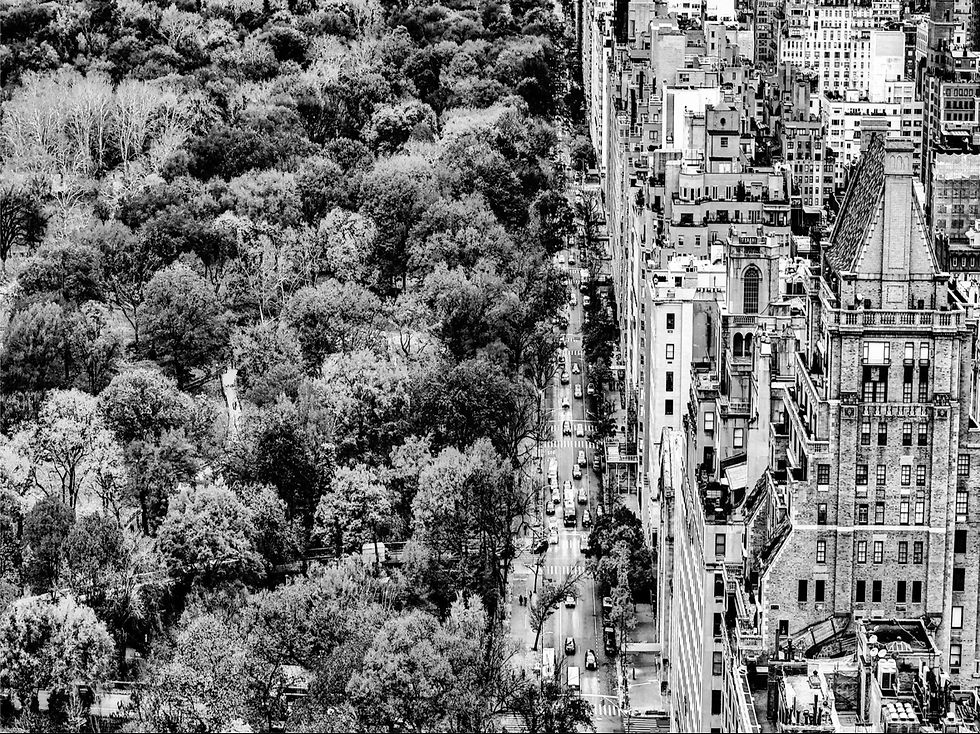 Schwarzweiß-Foto: New Yorker Stadtlandschaft mit Park