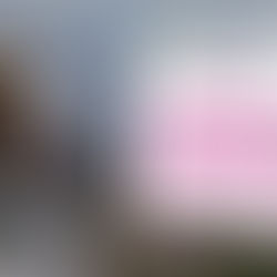 Women sitting outside reading a book