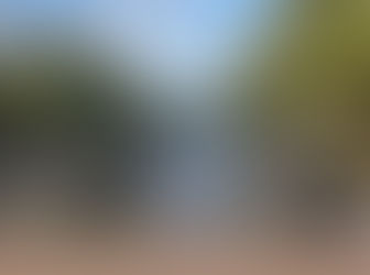 Inspirational Travel last autumn: Amsterdam, 2024