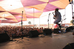 צילום פסטיבל