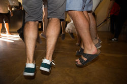 צילום חתונה